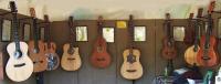 C. F. Casey Guitars