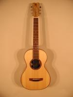 Casey Acoustic Travel Guitar