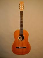 Fred's Personal Guitar - the 'Anniversary' model