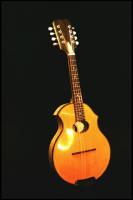 Arch-top Mandolin